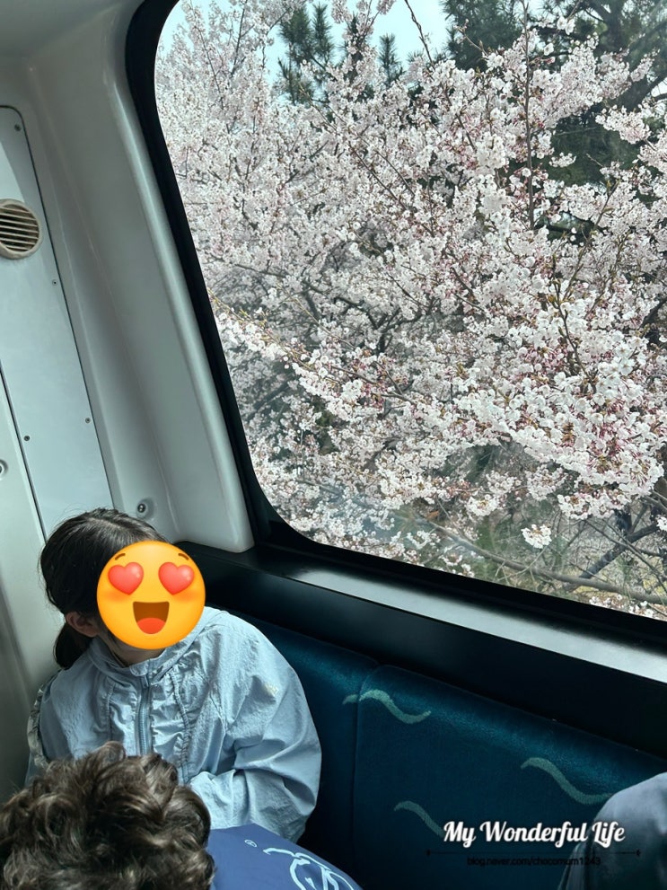  인천 월미바다열차 벚꽃 명소 아이와 함께 봄나들이 추천