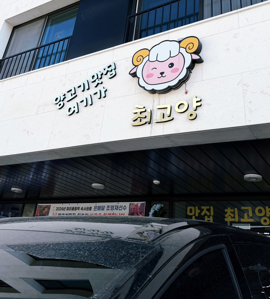 최고양 사진 2