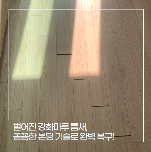 [서초구 강화마루 보수] 벌어진 마루 틈새, 세븐홈케어의 꼼꼼한 본딩 기술로 완벽 복구!
