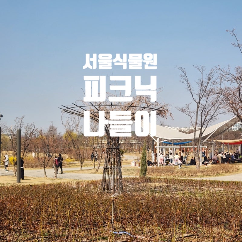 강서 마곡 서울식물원 호수공원 돗자리 피크닉