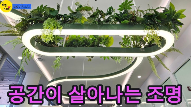  [펜던트형] 펜던트 라인조명으로 완성하는 플랜테리어 감성 공간