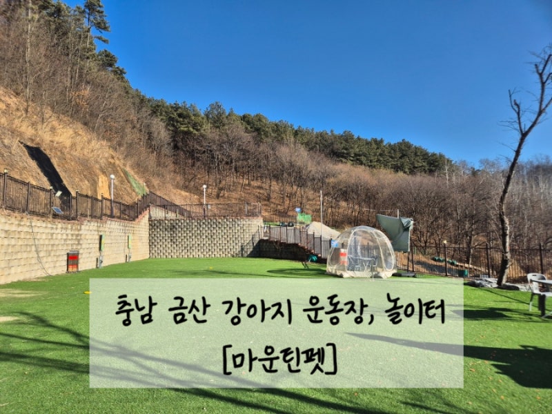 마운틴펫
