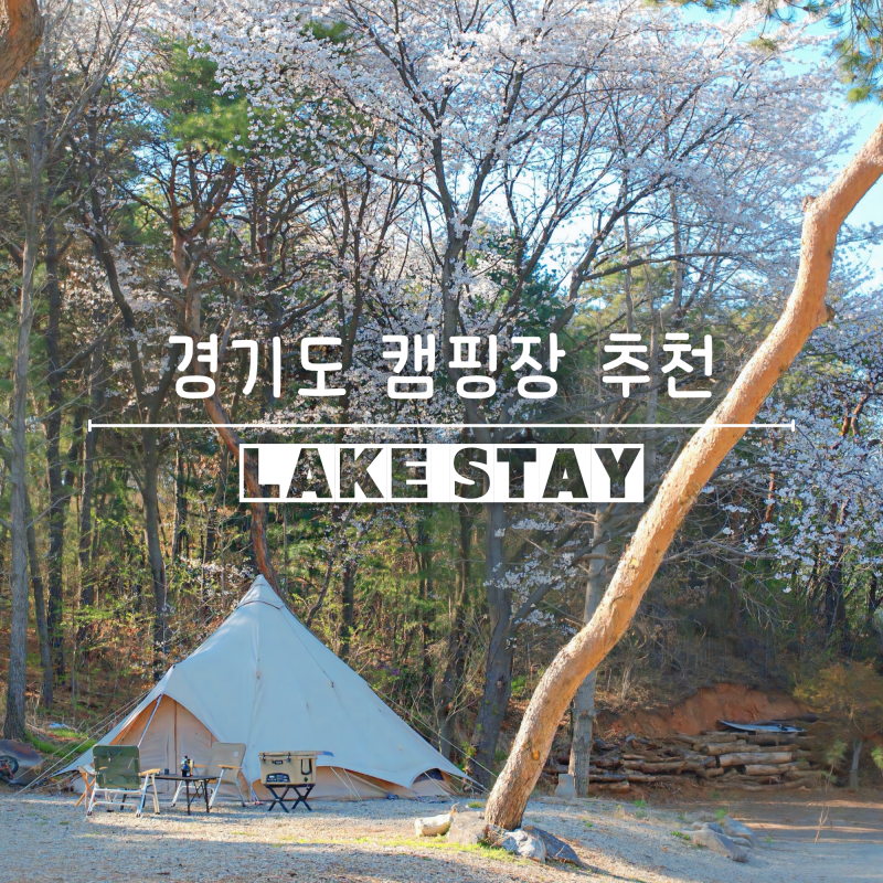 경기도 수도권 캠핑장 서울근교 차박 애견동반 벚꽃캠핑