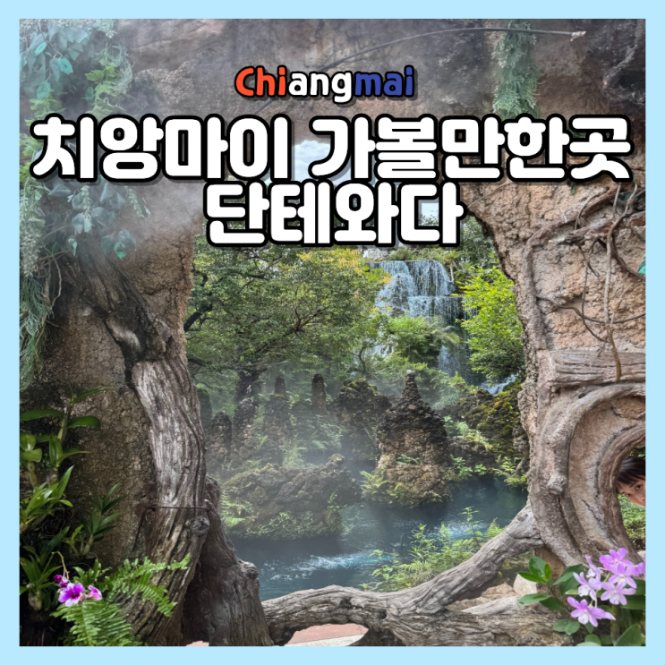  치앙마이 가볼 만한 곳 추천 단테와다 아바타 카페 위치 입장료 매땡 투어