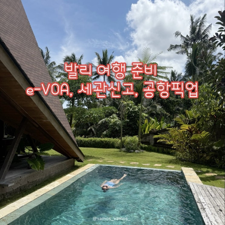  발리 여행 준비물 리스트 | e-VOA, 세관신고 필수! (공항 오토게이트 쫓겨난 썰 풀어요)