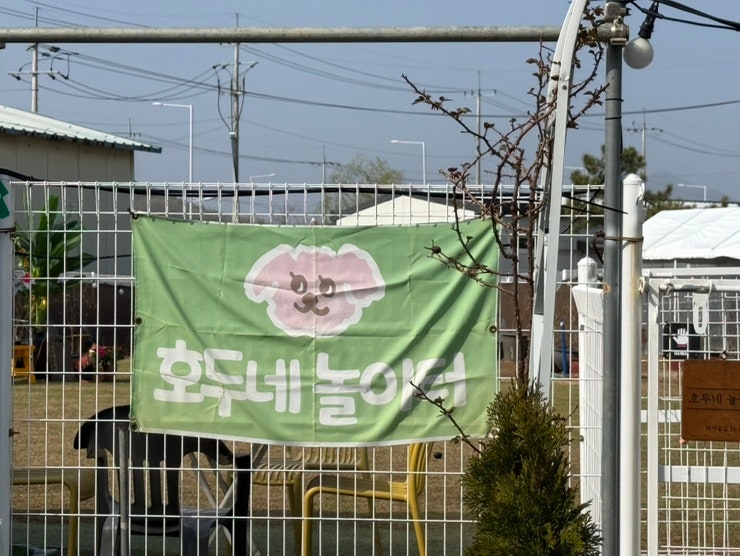 사진 4
