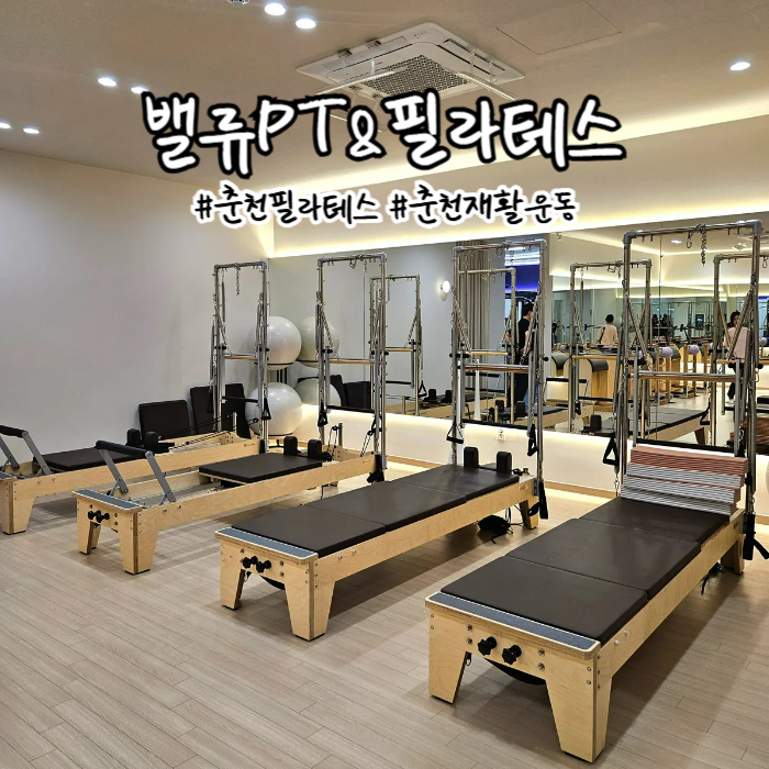 손차이 사진 1