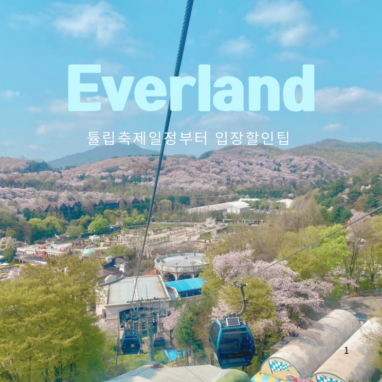  에버랜드 튤립축제 일정 입장권 할인팁 정리