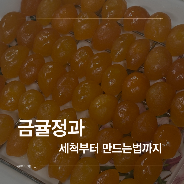  금귤정과 만들기 (세척부터 만드는법까지 정리)