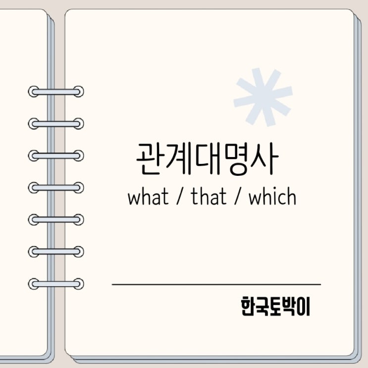  관계대명사 what / that / which 뜻과 차이