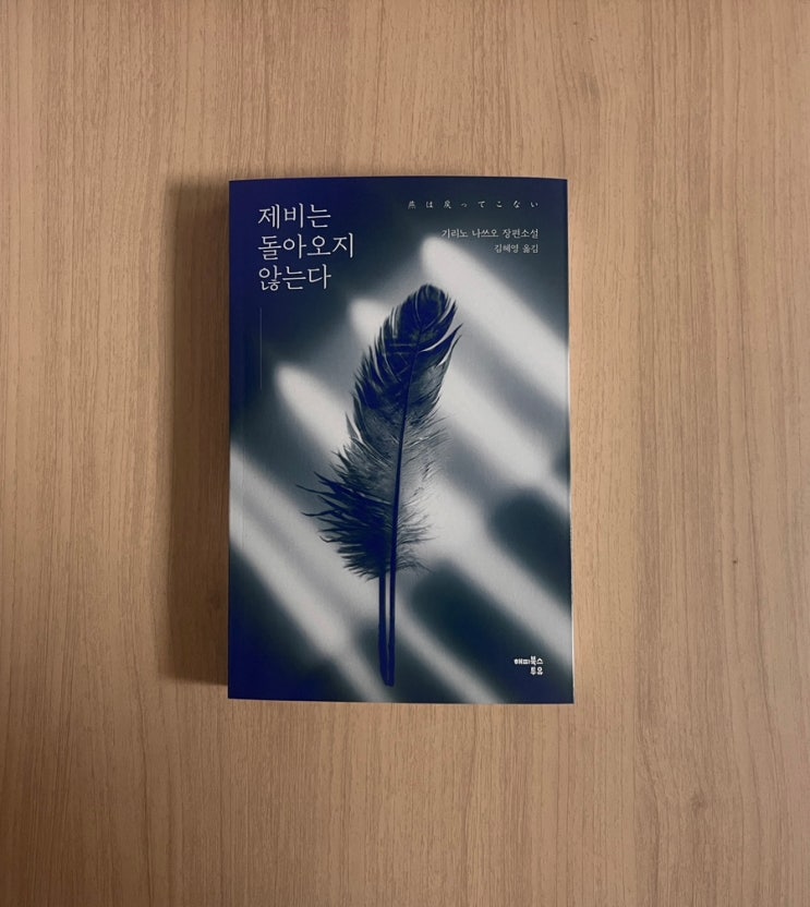  소설 제비는 돌아오지 않는다 서평, 읽는 내내 생각하게 되는 소설