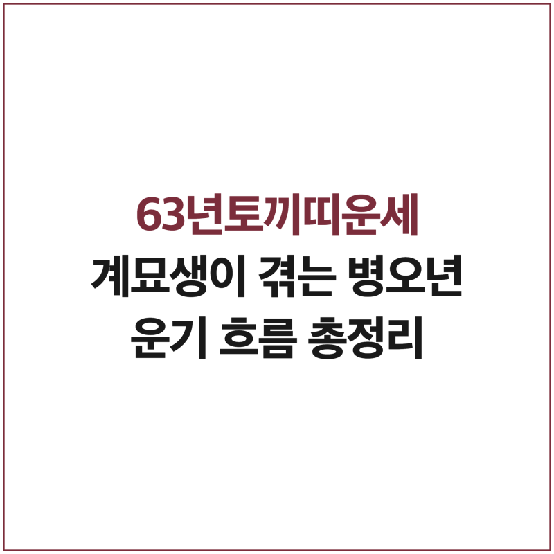 63년토끼띠운세 계묘생이 겪는 병오년 운기 흐름 총정리