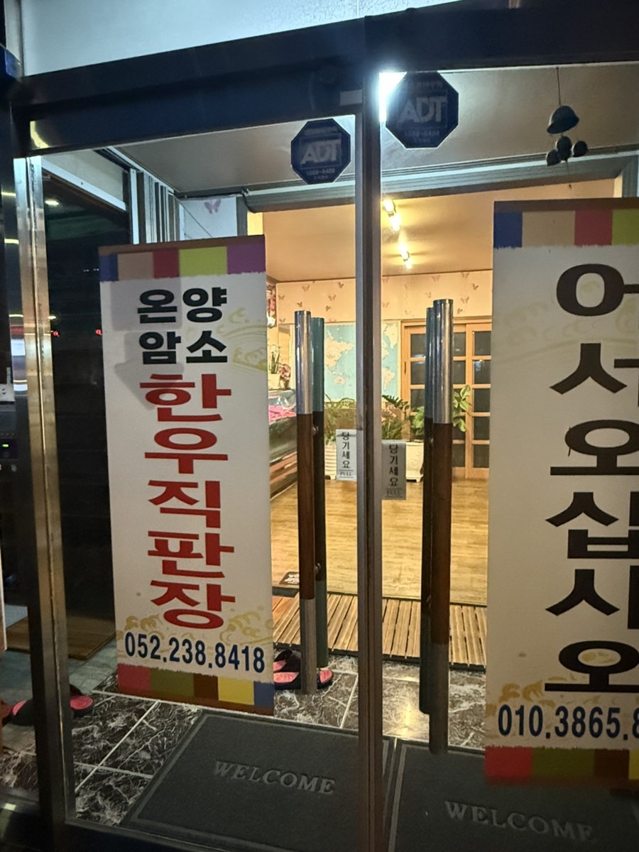 대안정 사진 1
