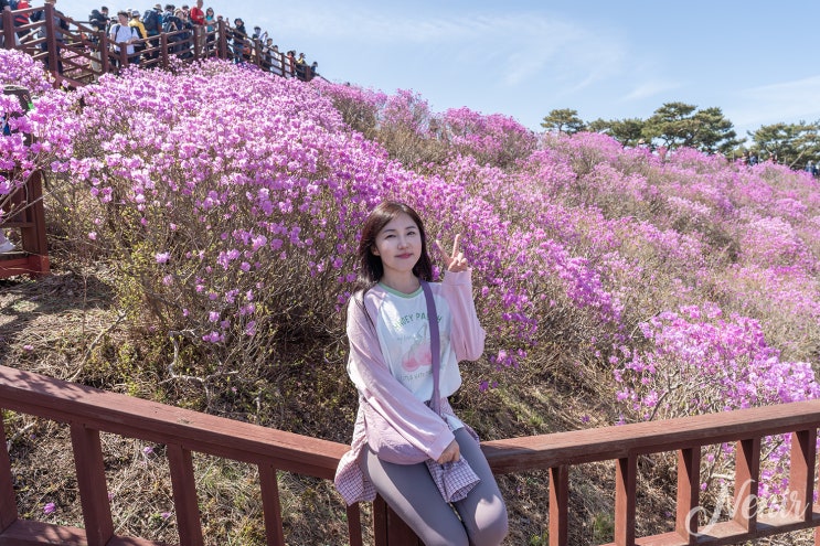 강화 고려산 진달래 축제 명소 주차 등산코스
