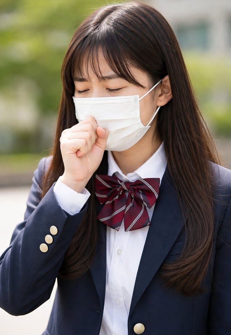 파비플로라 효능 총정리(장건강 면역력 피부개선 등),원물 먹는법 완벽 가이드