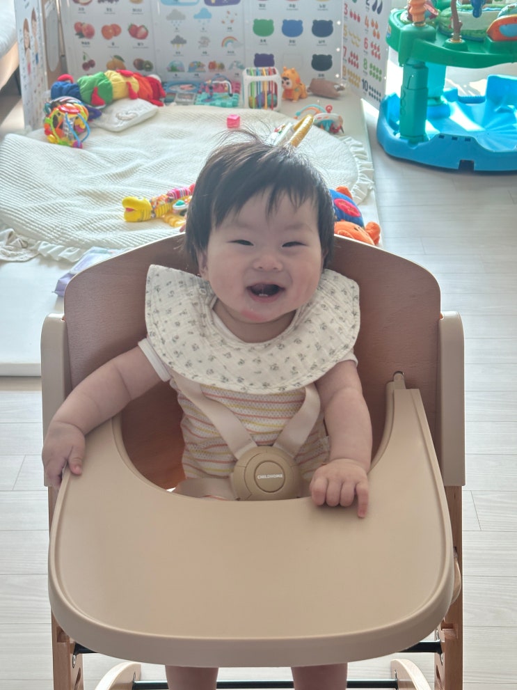 차일드홈 에보짓 <b>벨기에</b> 원목 하이체어 추천 프리미엄 아기... 