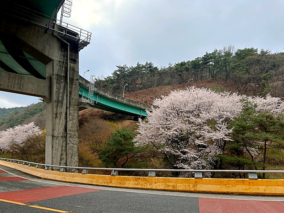 청양나선형도로 사진 6