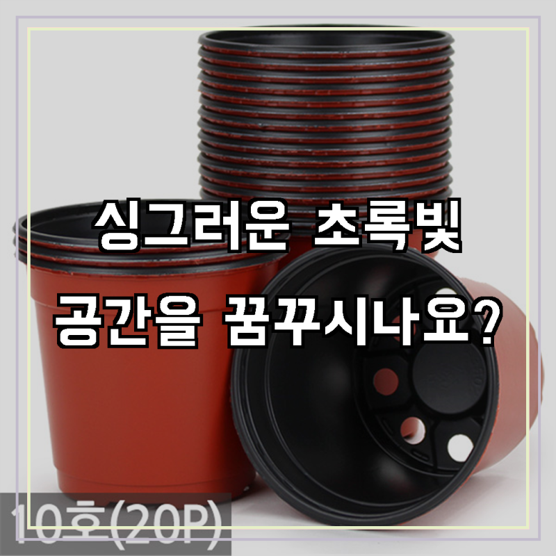 꽃과 식물이 자라는 즐거움을 더하는 현명한 선택, 세인화분 국산 이색포트 모종화분 20P!