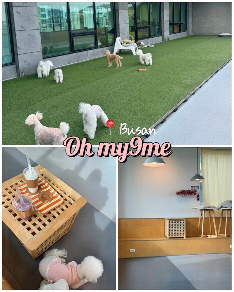 사진 2