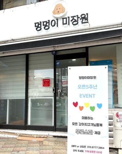 사진 5