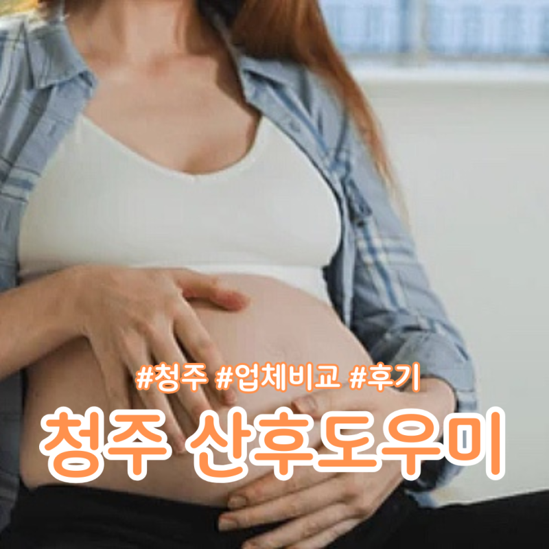 청주 산후도우미 업체 비교 후기(둘째맘 28주)