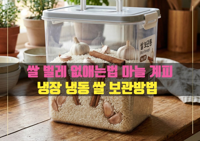 쌀 벌레 없애는 방법 마늘 양파 계피 쌀 보관방법 진공 냉장 냉동 어떤게 제일 좋을까?