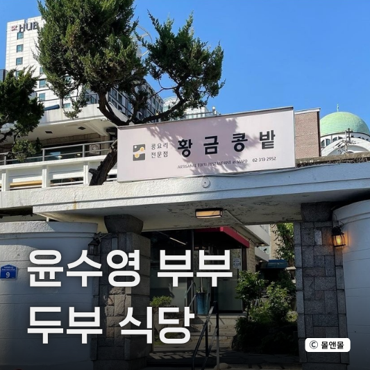  동상이몽 김지영 윤수영 두부 식당 위치 주소 마포 애오개역 맛집 추천
