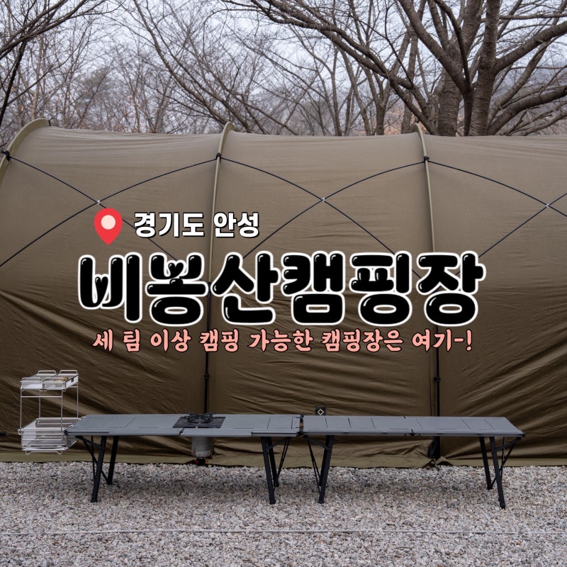 안성 비봉산 캠핑장 :: 벚꽃으로 유명한 캠핑장이라던데!