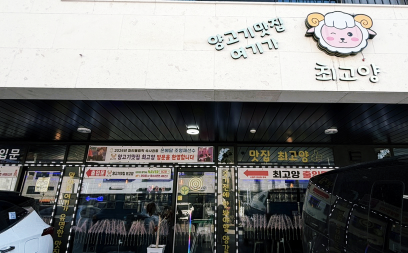 최고양 사진 3