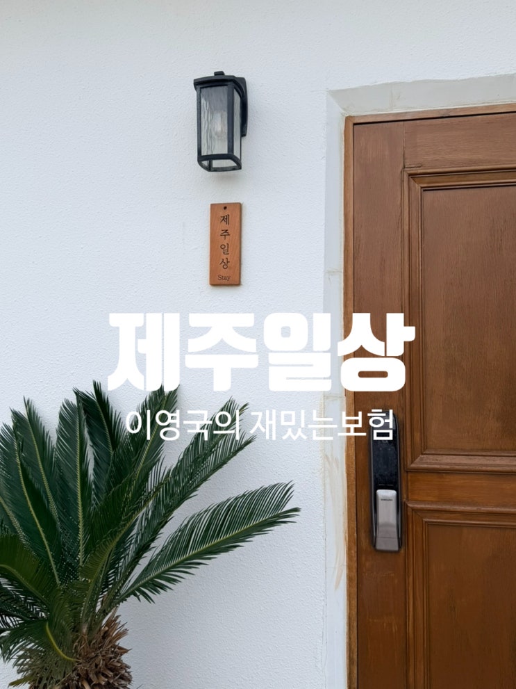 8개월 아기와 제주도여행 숙소 추천 제주도 애월숙소 제주일상