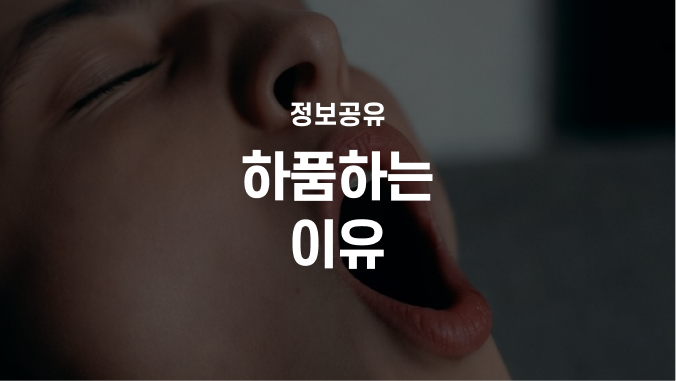 하품나는이유 및 하품을자주하는원인 정리! 하품원인 하품건강 수면부족 수면의질 체크해보....