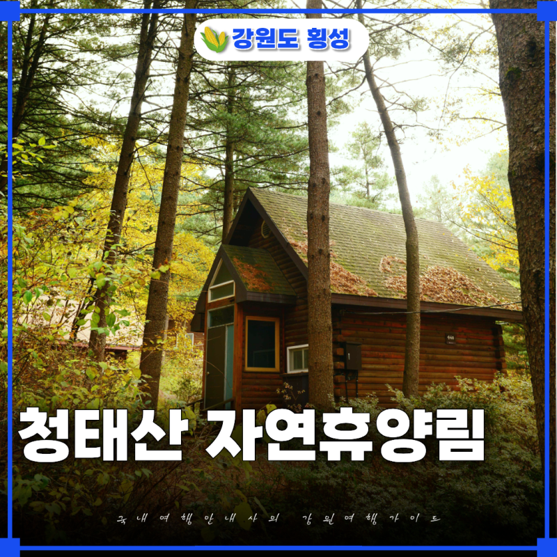 횡성 청태산 자연휴양림 휴양관 테크 예약방법