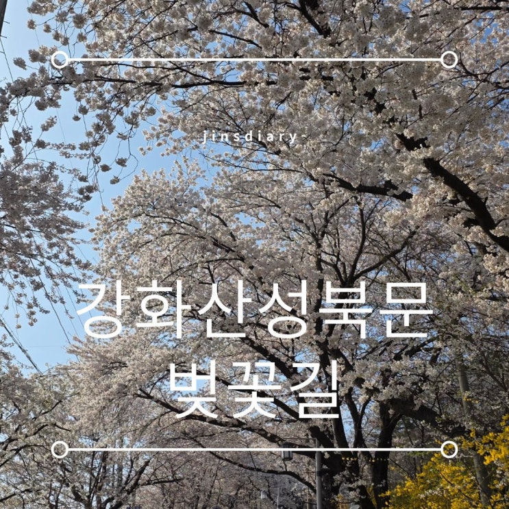  벚꽃 막차! 강화산성북문 벚꽃길, 고려궁지, 용흥궁공원
