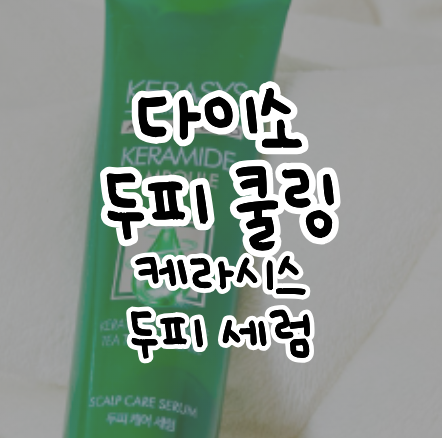 다이소 두피 쿨링, 여름마다 손 갈 것 같은 케라시스 두피 세럼