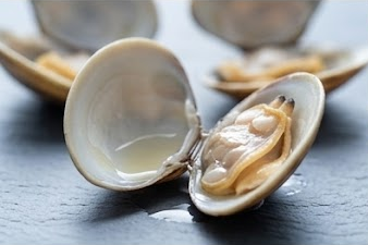 바지락 국물이 맵거나 쓴 이유? 실패 없는 국물 맛을 위한 3가지 비법 바지락 감칠맛 성분(호....