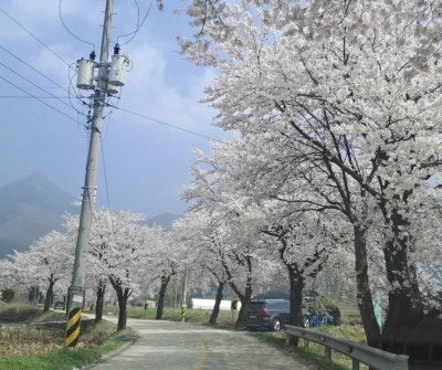 사진 2