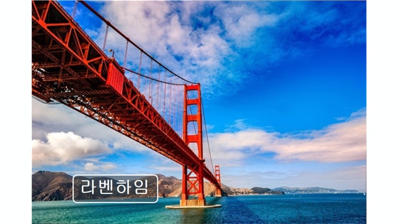 사진 8
