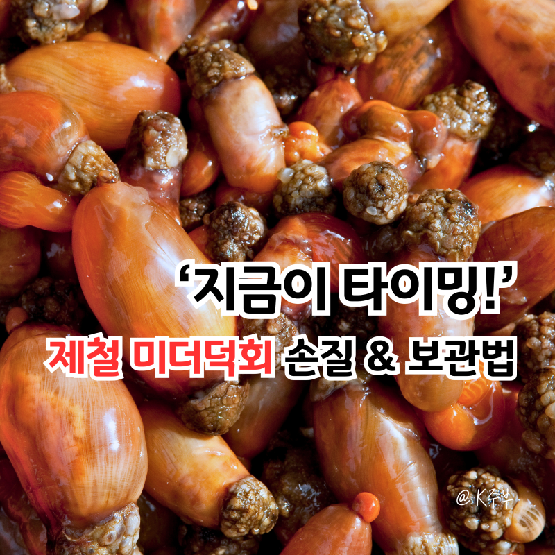 미더덕회, 4월 지금이 가장 맛있을 때! 손질부터 보관법까지