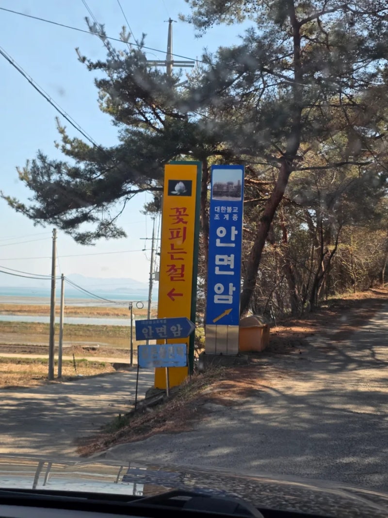 사진 4