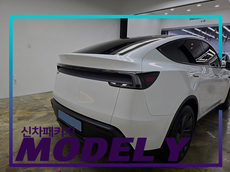 부산 테슬라 선쉐이드, 요크핸들, 계기판 까지 신차패키지의 모든 것