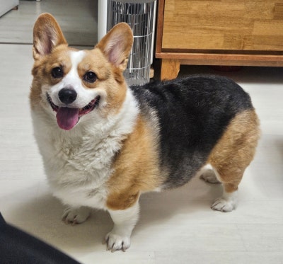 사진 5