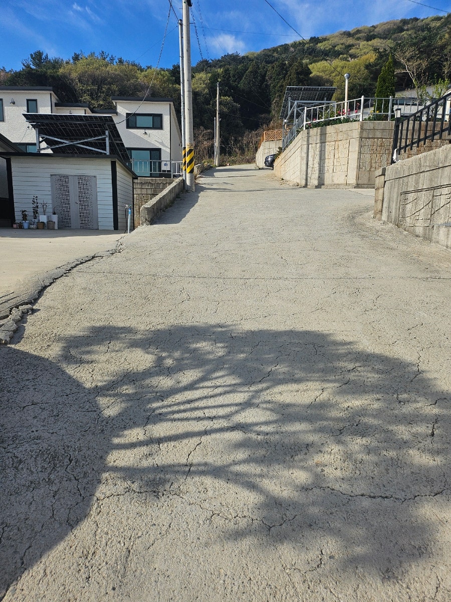 라라랜드 사진 3