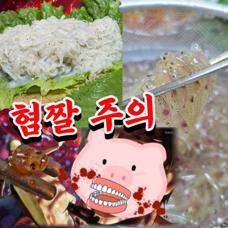  실치회 vs 사백어 맛 솔직 후기 (+제철, 먹는법, 가격 총정리)