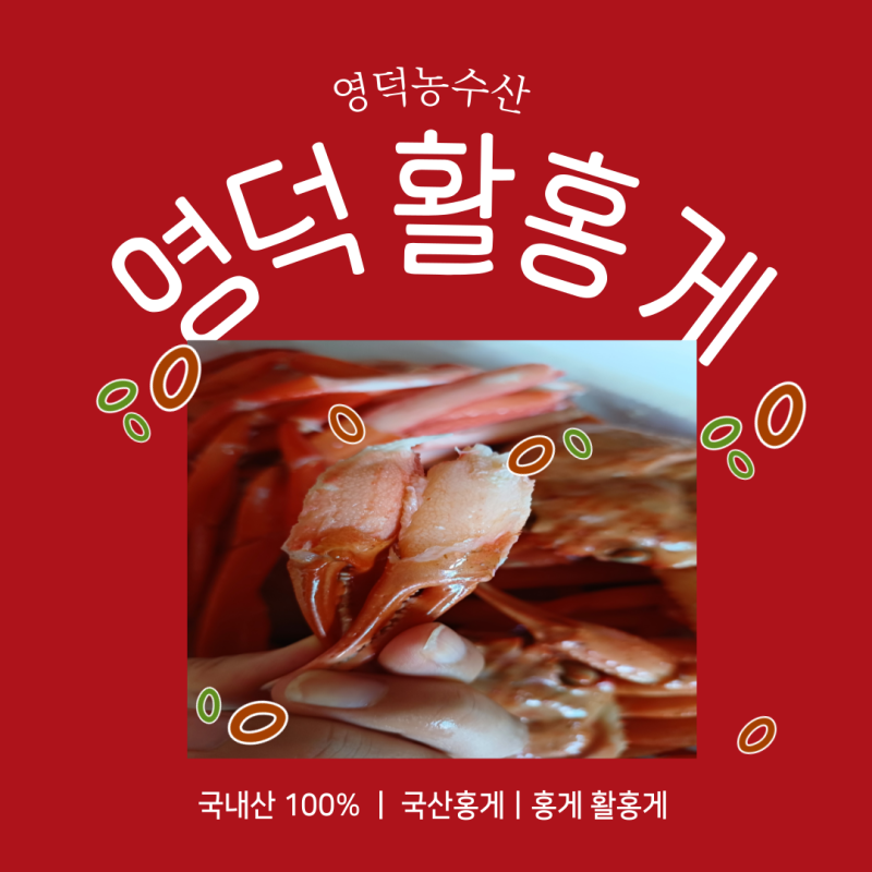 국산홍게 영덕 활홍게 영덕농수산