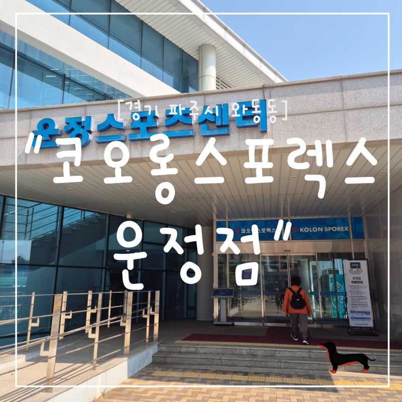 "경기 파주시" 파주 50m 수영장 찾는다면? 코오롱스포렉스 운정점 솔직 후기
