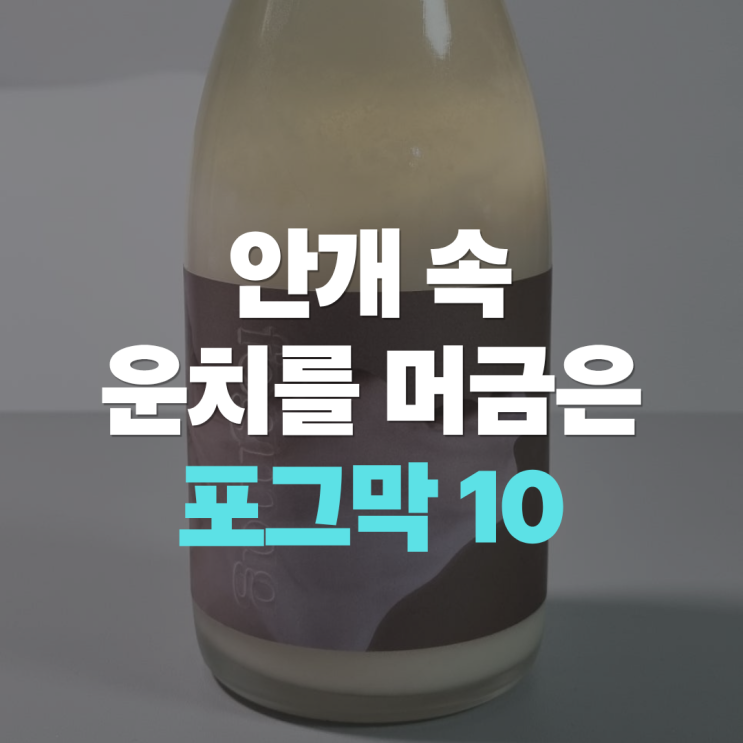  "막걸리인데 디저트 같아요" 포그막 10도, 달성주조가 만든 안개 막걸리 맛 가격 구매방법은