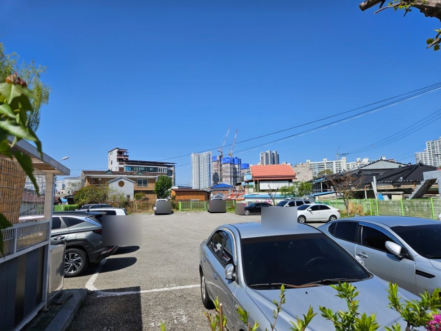 고창닭집 사진 6