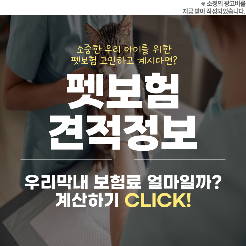 사진 8