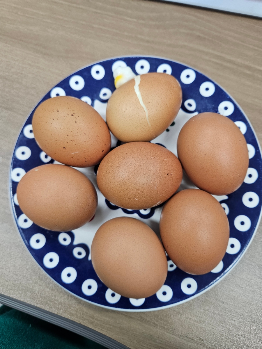 할매순대국 사진 1