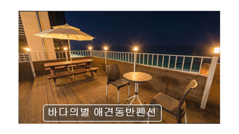사진 4